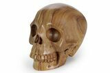 Realistic, Polished Picture Jasper Skull #381920-2